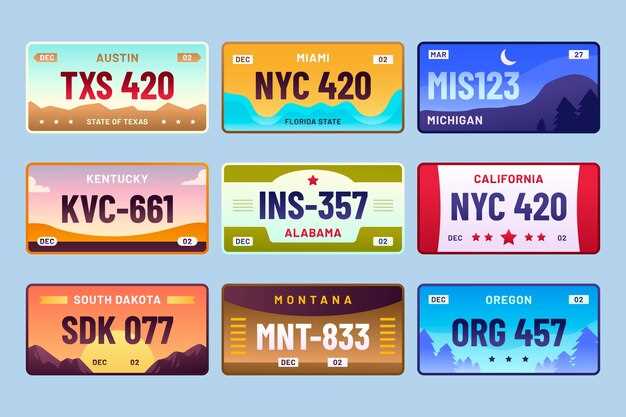 Choosing a Theme for Your License Plate
