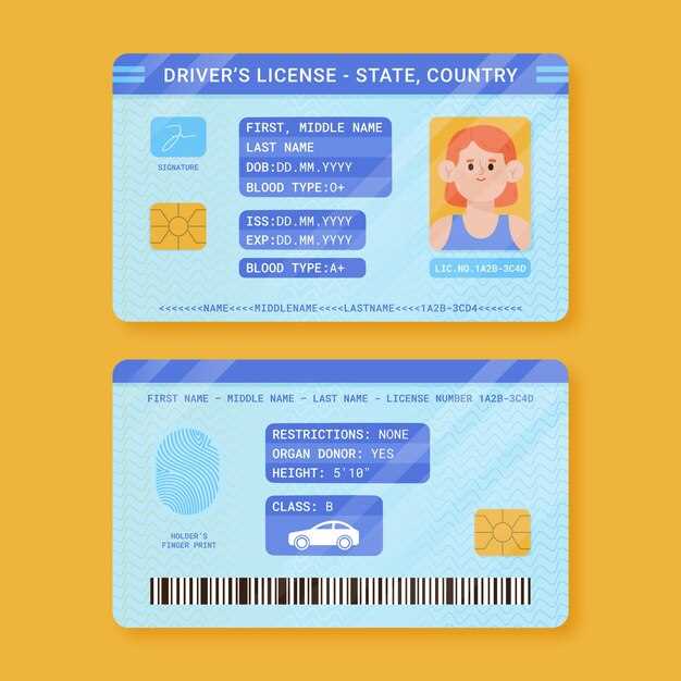 Comparative Analysis: Digital vs. Traditional License Plates by State