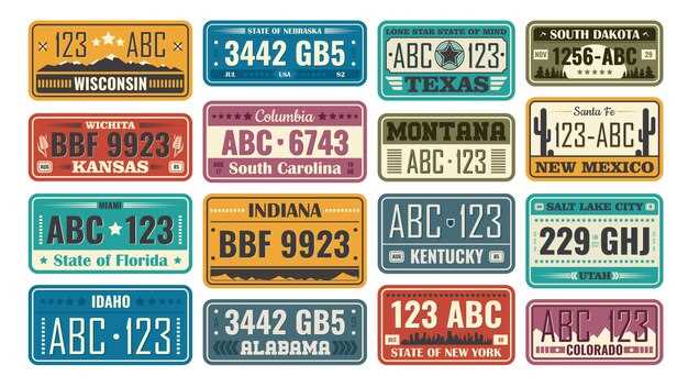 Best License Plate Ideas for Car Enthusiasts