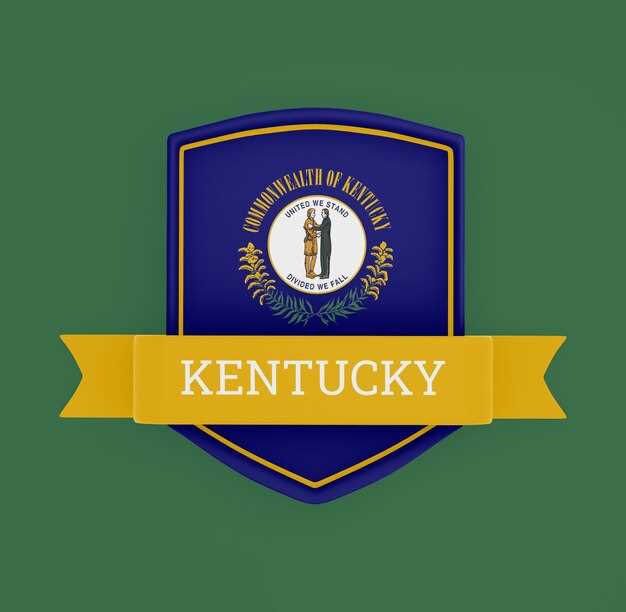 Navigating the Application Process for Custom Collegiate and Alumni Plates