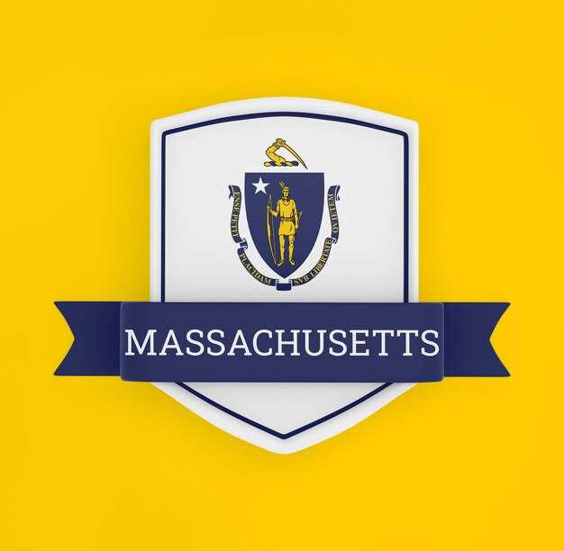 How to Choose the Right Alumni Plate That Represents Your School
