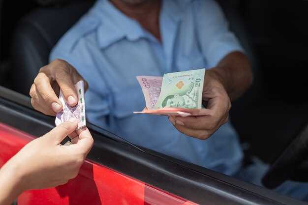Common Issues and Solutions During the License Plate Renewal Process