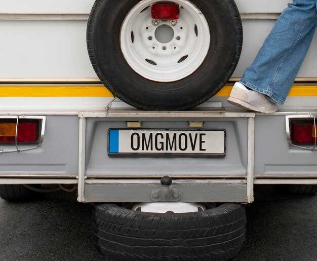 Step-by-Step Process for Obtaining Temporary Plates
