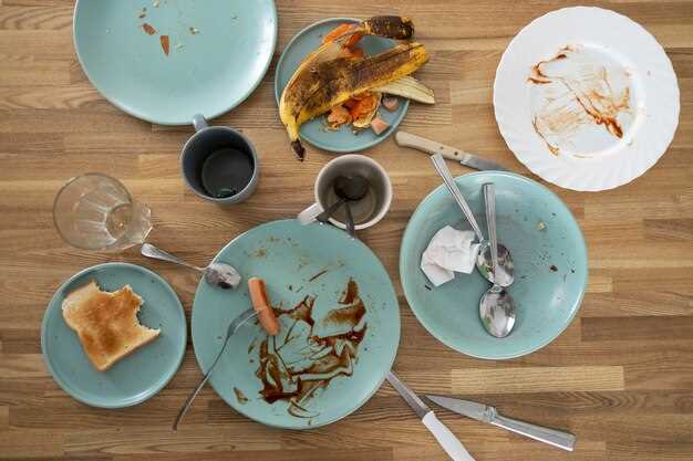 Assessing the Longevity and Performance of Repaired Plates